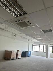 Vertex (D14), Factory #488581981